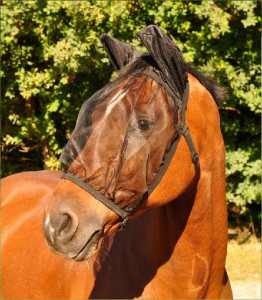 Waldhausen Maska przeciw owadom Anti-Fly Basic pony