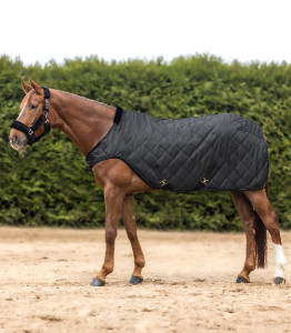 Waldhausen Derka zimowa Exclusive HorseWalker 50g black 135 cm