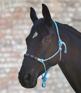 Waldhausen Kantar sznurkowy Pearls azure blue pony