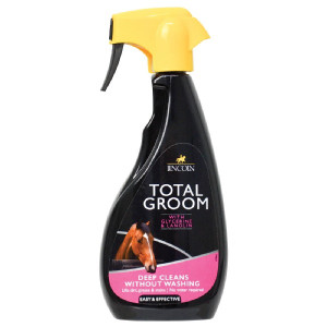 Lincoln Suchy szampon Total Groom 500 ml
