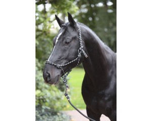 Covalliero Kantar sznurkowy czarno szary Pony
