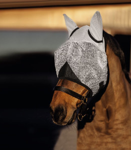COVALLIERO Maska przeciwko owadom z ochroną UV Pony