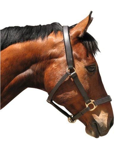 Covalliero Kantar Eco, skórzany, brązowy