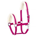 14062.jpg