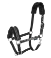 5047300-PON_09.png