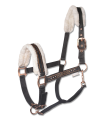 5047311-PON_78.png
