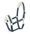 5047364-PON_65.png