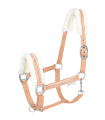 5047349-PON_14.png