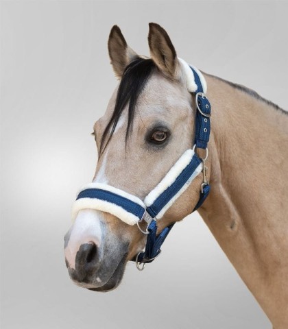 WALDHAUSEN Kantar Sparkle