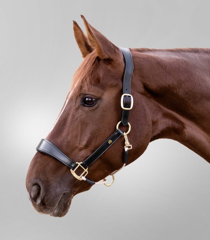 WALDHAUSEN S-Line Kantar Royal