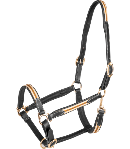 WALDHAUSEN Kantar ze skórzanymi elementami X-Line Oxford