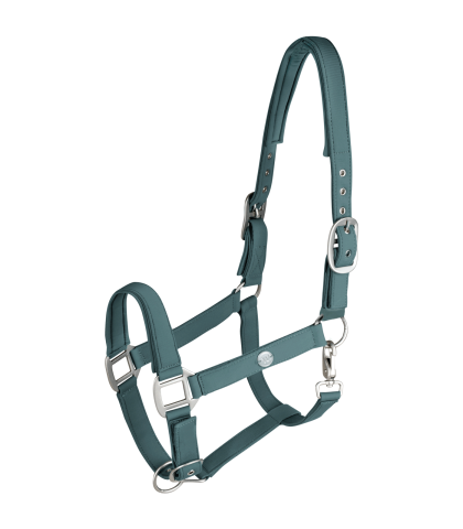 WALDHAUSEN Kantar Trinidad