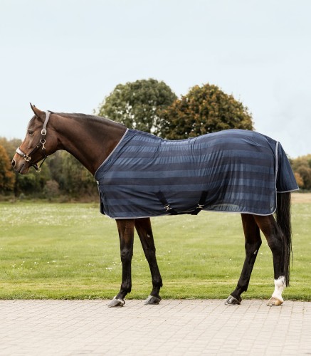 6331905-085_10.jpg
