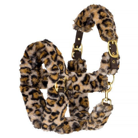 START Kantar  TeddyLeopard