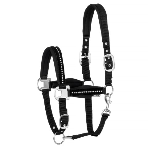 START  Kantar PremiumDiamonds