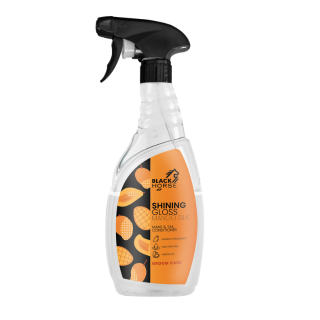 BLACK HORSE Dwufazowa odżywka SHINING GLOSS MANGO SILK 750ml