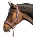 5052831-WB_11.png