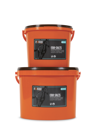 FORAN Elektrolity Equi-Salts 4kg
