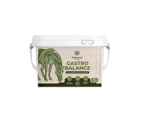 Kopia-gastro_balance.png