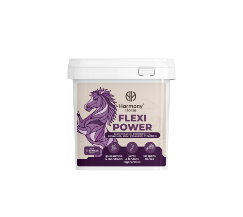 flexi_power.png