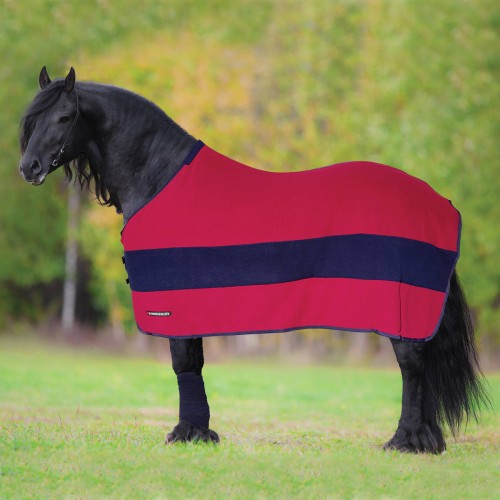 pol_pl_Derka-Horsenjoy-Jasmine-z-pasami-9970_1.jpg