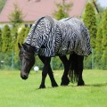 pol_pl_Derka-York-siatkowa-z-kapturem-Zebra-9931_2.jpg