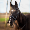 pol_pl_Tranzelka-Horsenjoy-Anatomic-15001_6.png