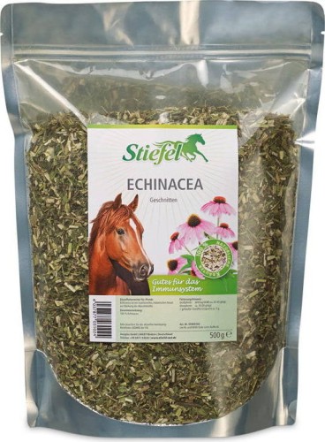 pol_pl_Echinacea-Stiefel-jezowka-3604_1.jpg