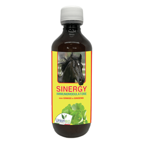 pol_pl_Sinergy-Union-Bio-multiwitaminy-i-mineraly-15855_1.png