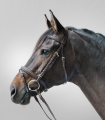 68047030-MSH_2_1920x1920.png