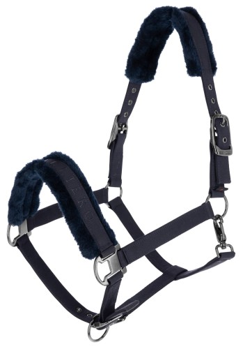 220116_Hauptbild _3228824 (1).jpg