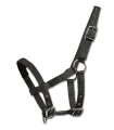 504501_13_1920x1920.png