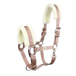 HE HORSENJOY Kantar Pearl
