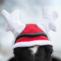pol_pl_Nauszniki-York-swiateczne-Renifer-15178_2.png