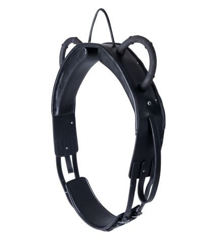 WALDHAUSEN Pas do woltyżerki czarny Full