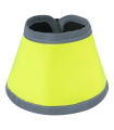 11066060_2.png