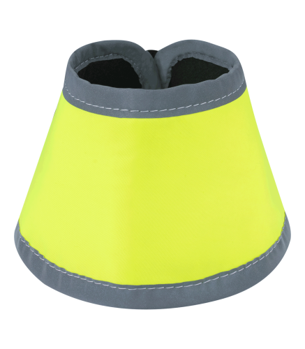 11066060_2.png