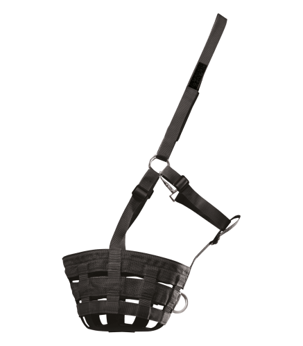 5724601-PON_03.png