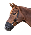 5724601-PON_06.png