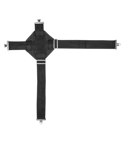 8186201_0 (1).png