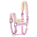 EQUESTRIAN QUEEN Kantar Rotterdam 25SS 