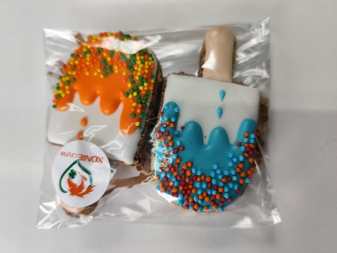 KONIECZYNA zestaw podwójny Lody