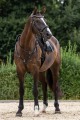 229893_Anwendungsbild__3230214_8e66.jpg