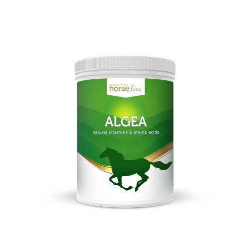 algea-1500g.jpg