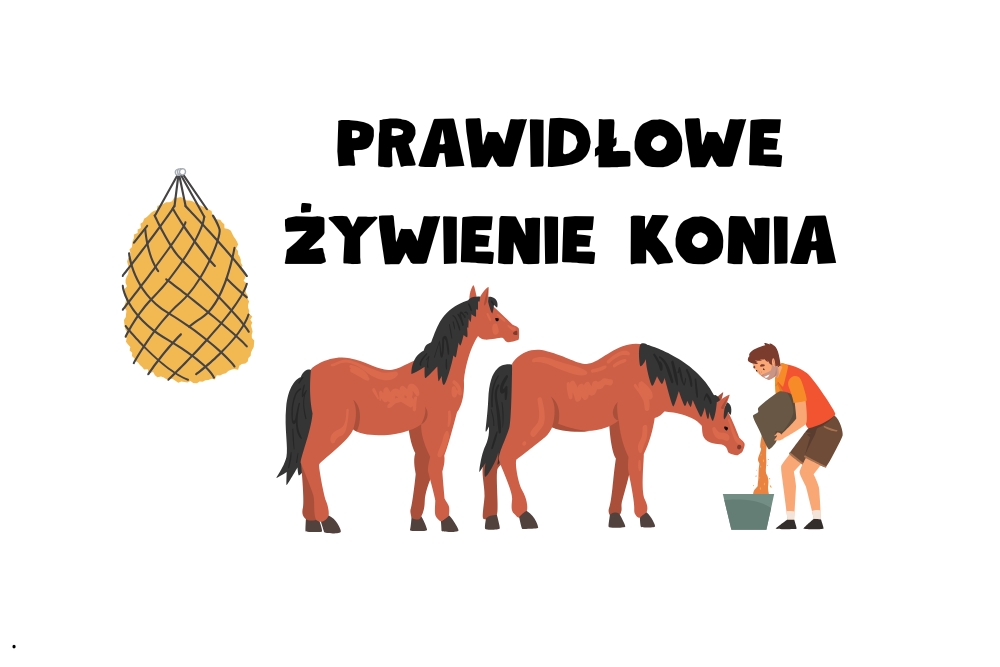 Prawidłowe żywienie konia