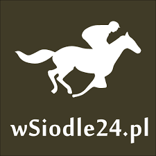 WSIODLE24